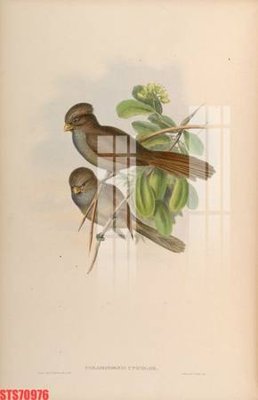 File tranh gốc in trần nhà Tranh sơn dầu phương tây tổng hợp STS70976 3D