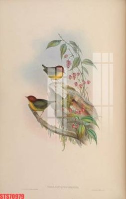 Download file Tranh sơn dầu phương tây tổng hợp STS70979 (gốc) in mica đèn LED