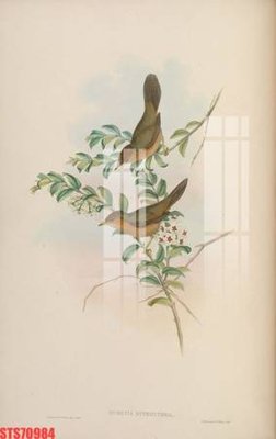 File tranh Tranh sơn dầu phương tây tổng hợp STS70984 (ảnh gốc) độ nét vượt trội