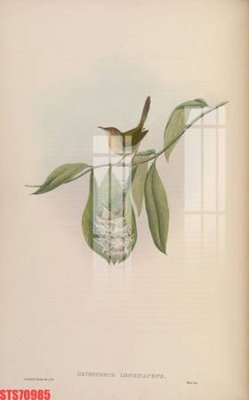 File gốc Tranh sơn dầu phương tây tổng hợp STS70985 (in 3D) cho trang trí