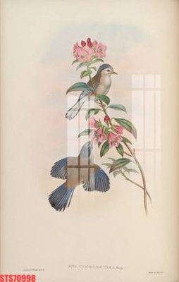 File gốc Tranh sơn dầu phương tây tổng hợp STS70998 (phong cách) tối giản