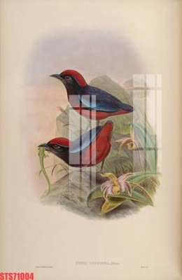 Download file gốc Tranh sơn dầu phương tây tổng hợp STS71004 (độ nét cao)