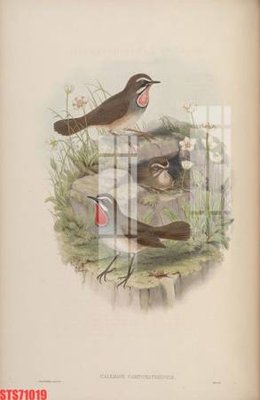 File tranh Tranh sơn dầu phương tây tổng hợp STS71019 (bản gốc) in lụa 3D