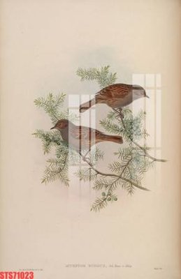 File PSD Tranh sơn dầu phương tây tổng hợp STS71023 (gốc) tách lớp chi tiết