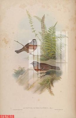 Mua file gốc Tranh sơn dầu phương tây tổng hợp STS71028 (in ấn) tại Filetranh.com