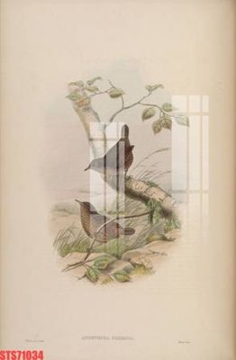 File gốc Tranh sơn dầu phương tây tổng hợp STS71034 (vector) cho in ấn