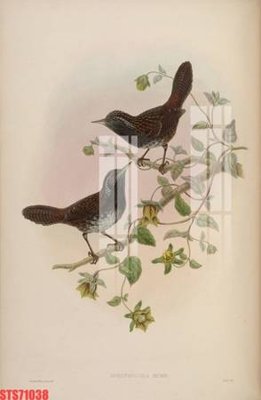 File in trần Tranh sơn dầu phương tây tổng hợp STS71038 (bản gốc) hoa văn