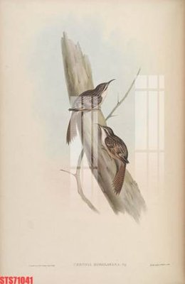 File gốc Tranh sơn dầu phương tây tổng hợp STS71041 (PNG) nền trong suốt