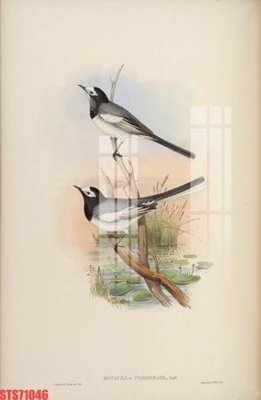 File tranh Tranh sơn dầu phương tây tổng hợp STS71046 (ảnh gốc) in trần nhà