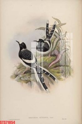 File in trần Tranh sơn dầu phương tây tổng hợp STS71054 (bản gốc) bầu trời