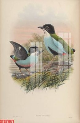 File in trần Tranh sơn dầu phương tây tổng hợp STS71071 (file gốc) phong thủy