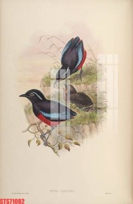 File gốc Tranh sơn dầu phương tây tổng hợp STS71082 (cho in ấn) từ Filetranh.com