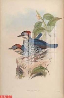 Mua file ảnh gốc Tranh sơn dầu phương tây tổng hợp STS71088 (chất lượng cao)