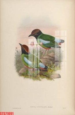 Tải file gốc Tranh sơn dầu phương tây tổng hợp STS71091 (in tráng gương) siêu đẹpFile tranh gốc Tranh sơn dầu phương tây tổng hợp STS71091 chất lượng cao