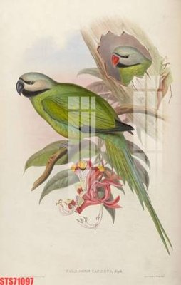 File tranh Tranh sơn dầu phương tây tổng hợp STS71097 (gốc) chủ đề trừu tượng