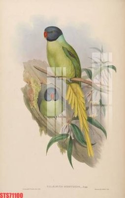 File PSD Tranh sơn dầu phương tây tổng hợp STS71100 (bản gốc) đã tách nền