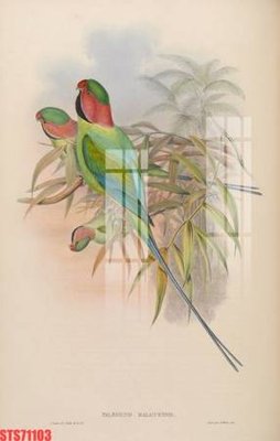 Tải file Tranh sơn dầu phương tây tổng hợp STS71103 (ảnh gốc) in tranh kính