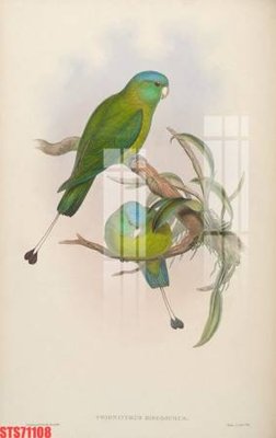 File in lụa Tranh sơn dầu phương tây tổng hợp STS71108 (phong cảnh) Tranh sơn dầu phương tây tổng hợp STS71108