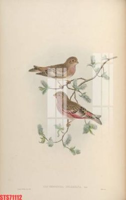 Tải file gốc Tranh sơn dầu phương tây tổng hợp STS71112 (in tráng gương) 3DFile gốc Tranh sơn dầu phương tây tổng hợp STS71112 (sẵn sàng in) chất lượng cao