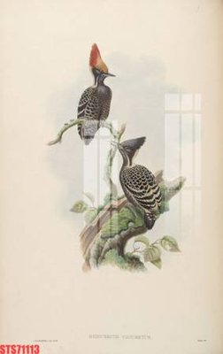 Tải file Tranh sơn dầu phương tây tổng hợp STS71113 (ảnh gốc) in gạch men