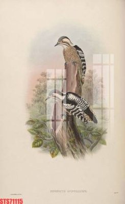 File gốc Tranh sơn dầu phương tây tổng hợp STS71115 (dành cho trang trí nội thất)