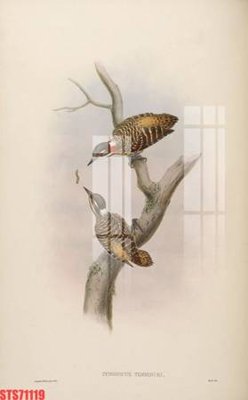 File gốc Tranh sơn dầu phương tây tổng hợp STS71119 (in lụa) tranh phong thủy