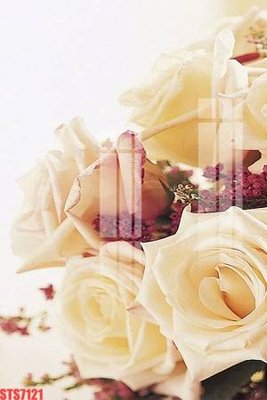 File tranh PSD Tranh sơn dầu phương tây tổng hợp STS7121 chất lượng cao