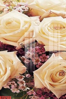 File tranh Tranh sơn dầu phương tây tổng hợp STS7123 (gốc) in trên kính