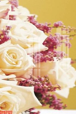 Tải file gốc Tranh sơn dầu phương tây tổng hợp STS7127 (bản PSD) chỉnh sửa được