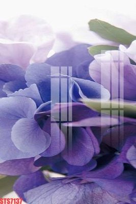 File gốc Tranh sơn dầu phương tây tổng hợp STS7137 (in lụa) trang trí tường