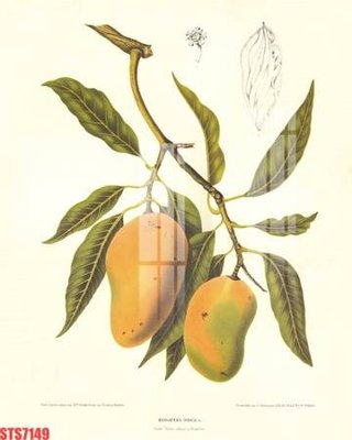 File in lụa Tranh sơn dầu phương tây tổng hợp STS7149 (chất lượng cao) Tranh sơn dầu phương tây tổng hợp STS7149