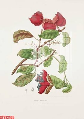 File tranh Tranh sơn dầu phương tây tổng hợp STS72105 (gốc) chủ đề động vật