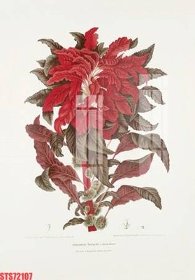 File gốc Tranh sơn dầu phương tây tổng hợp STS72107 (ảnh chi tiết) để in lụa