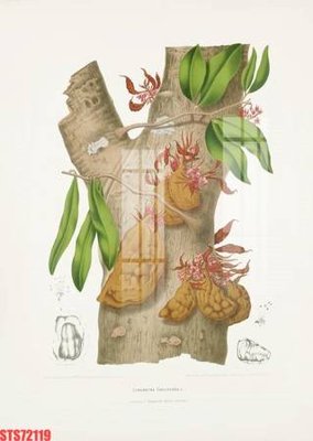 File tranh Tranh sơn dầu phương tây tổng hợp STS72119 (gốc) phong cách tối giản