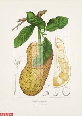 File gốc Tranh sơn dầu phương tây tổng hợp STS72121 (in tráng gương) hiện đại