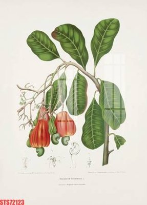 File gốc Tranh sơn dầu phương tây tổng hợp STS72123 (in 3D) nghệ thuật