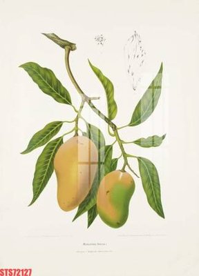 File tranh Tranh sơn dầu phương tây tổng hợp STS72127 (bản gốc) trang trí văn phòng