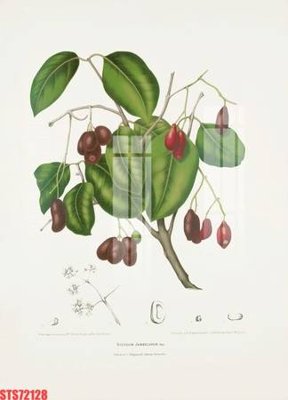 Tải về hình ảnh gốc Tranh sơn dầu phương tây tổng hợp STS72128 sắc nét