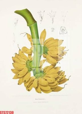 File tranh Tranh sơn dầu phương tây tổng hợp STS72130 (bản gốc) treo phòng ăn