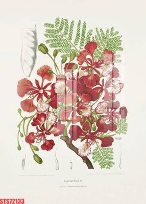 File in lụa Tranh sơn dầu phương tây tổng hợp STS72133 (chất lượng cao) Tranh sơn dầu phương tây tổng hợp STS72133