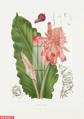 File gốc Tranh sơn dầu phương tây tổng hợp STS72139 (cho in ấn) độc quyền