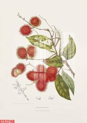 Tải file Tranh sơn dầu phương tây tổng hợp STS72140 (gốc) làm file in ấn