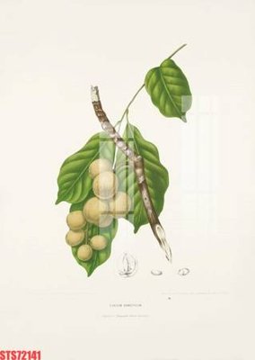 Download file Tranh sơn dầu phương tây tổng hợp STS72141 (gốc) in mica ốp bếp