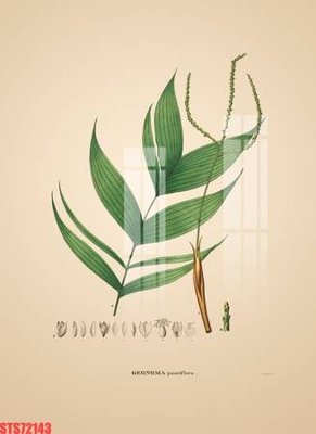 Ảnh gốc file in lụa Tranh sơn dầu phương tây tổng hợp STS72143 chi tiết