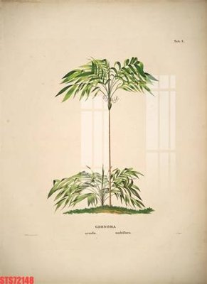 File tranh in tráng gương Tranh sơn dầu phương tây tổng hợp STS72148 (siêu nét)