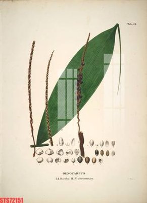 File ảnh Tranh sơn dầu phương tây tổng hợp STS72151 (gốc) in decal dán tường