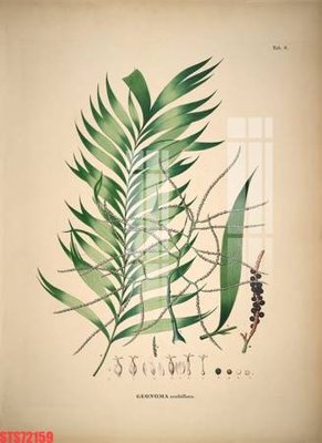 File ảnh Tranh sơn dầu phương tây tổng hợp STS72159 (gốc) in decal dán tường