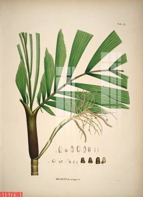 File gốc Tranh sơn dầu phương tây tổng hợp STS72161 (trang trí) phòng làm việc