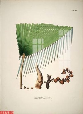 File ảnh Tranh sơn dầu phương tây tổng hợp STS72162 (gốc) in Hiflex