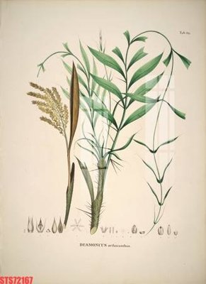 File PSD in ấn Tranh sơn dầu phương tây tổng hợp STS72167 (chất lượng cao)